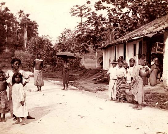Another scene from 1910 - a shop on the Kandy Road. Harper would have visited Kandy.