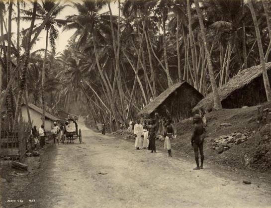 Edward Harper would have travelled down Galle  Road Colombo in Ceylon - this picture was taken in the 1900s.